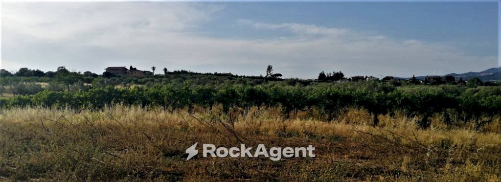 Terreno - Terreno agricolo via Formale Rotondo, Lanuvio - foto 3