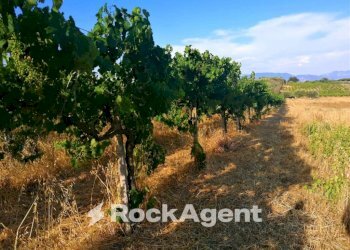 Terreno - Agricultural land via Formale Rotondo, Lanuvio - photo 2