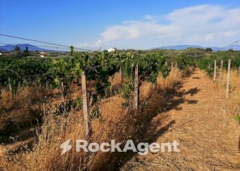 Terreno - Agricultural land via Formale Rotondo, Lanuvio - photo 10