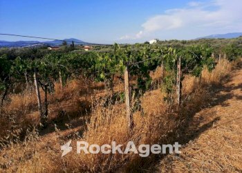 Terreno - Agricultural land via Formale Rotondo, Lanuvio - photo 11