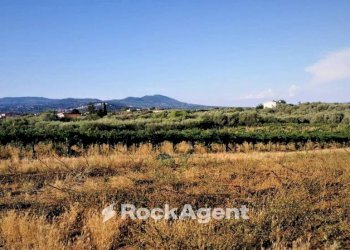 Terreno - Agricultural land via Formale Rotondo, Lanuvio - photo 12