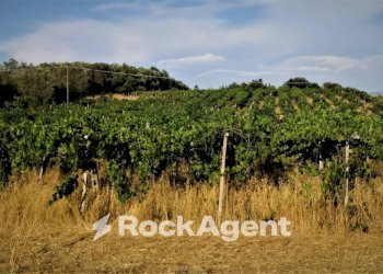 Terreno - Agricultural land via Formale Rotondo, Lanuvio - photo 13