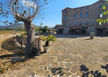 Terreno - Altro via Quattroponti 7, Casal Velino - foto 5