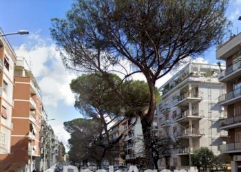 Zona - Negozio via Antonello da Messina, Roma - foto 2