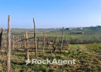 Terreno - Rustico FRAZIONE CAMPORELLO 5, San Damiano al Colle - foto 2