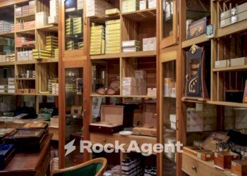 Interno non residenziale - Bar - Tabacchi - Ricevitoria Rubano - foto 2