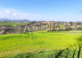 Terreno - Villa via San Giovanni, Borghi - foto 6