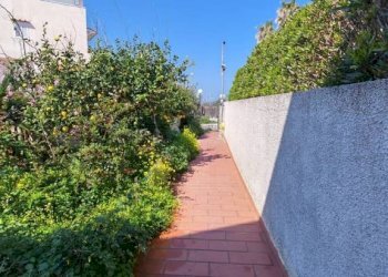 Giardino - Villa via Cesare Piro, Forio - foto 14