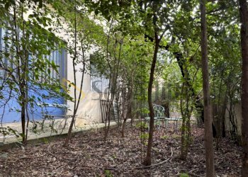 60b8fd8d-6ece-4fb7-9a6b-b88f73096f24.jpeg - One-room apartment Sesto Fiorentino - photo 3