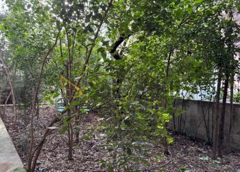 e0d1c69c-fc2b-477f-ac17-1cd66531756f.jpeg - One-room apartment Sesto Fiorentino - photo 13