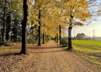 IMG-20251031-WA0019.jpg - Rustico Via Bagnolo 12, Longare - foto 18