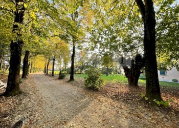 IMG-20251031-WA0007.jpg - Rustico Via Bagnolo 12, Longare - foto 21