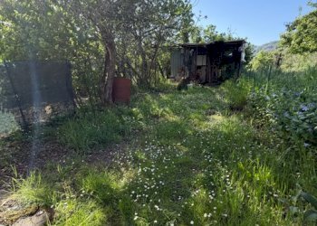 Immagine 2026-04-15 190147.png - Terratetto - Terracielo Podenzana - foto 10