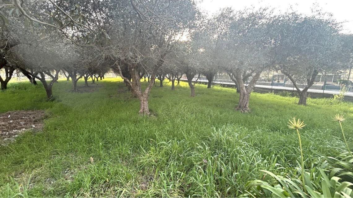 sa3.jpg - Appartamento Sarzana - foto 3