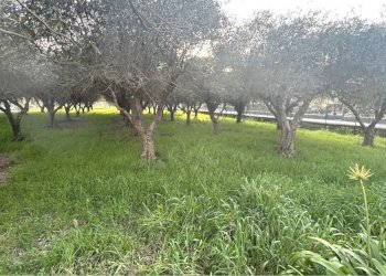 sa3.jpg - Appartamento Sarzana - foto 3
