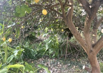sa22.jpg - Appartamento Sarzana - foto 22