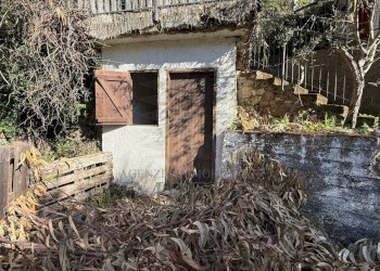 6.jpeg - Villa Via Silvio Pellico, Bordighera - foto 3