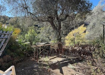 1.jpeg - Villa Via Silvio Pellico, Bordighera - foto 10