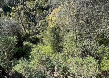 7.jpeg - Villa Via Silvio Pellico, Bordighera - foto 13