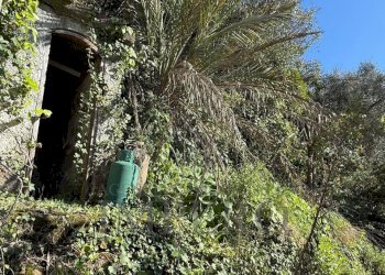 11.jpeg - Villa Via Silvio Pellico, Bordighera - foto 17