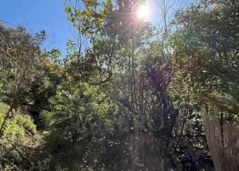 12.jpeg - Villa Via Silvio Pellico, Bordighera - foto 18