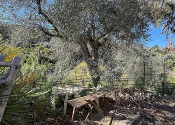 13.jpeg - Villa Via Silvio Pellico, Bordighera - foto 19