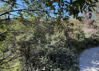 29.jpeg - Villa Via Silvio Pellico, Bordighera - foto 24