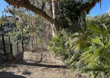 32.jpeg - Villa Via Silvio Pellico, Bordighera - foto 27