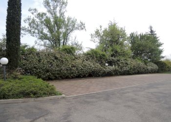 bilocale maranello 021.jpg - Two-room apartment Via Abetone Superiore 142-162, Maranello - photo 10