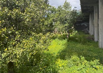 8.jpeg - Villa Pedara - foto 8