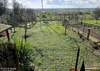 04.jpg - Casale Località Riccio 70A, Cortona - foto 4