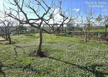 05.jpg - Casale Località Riccio 70A, Cortona - foto 5