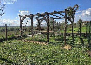 06.jpg - Casale Località Riccio 70A, Cortona - foto 6