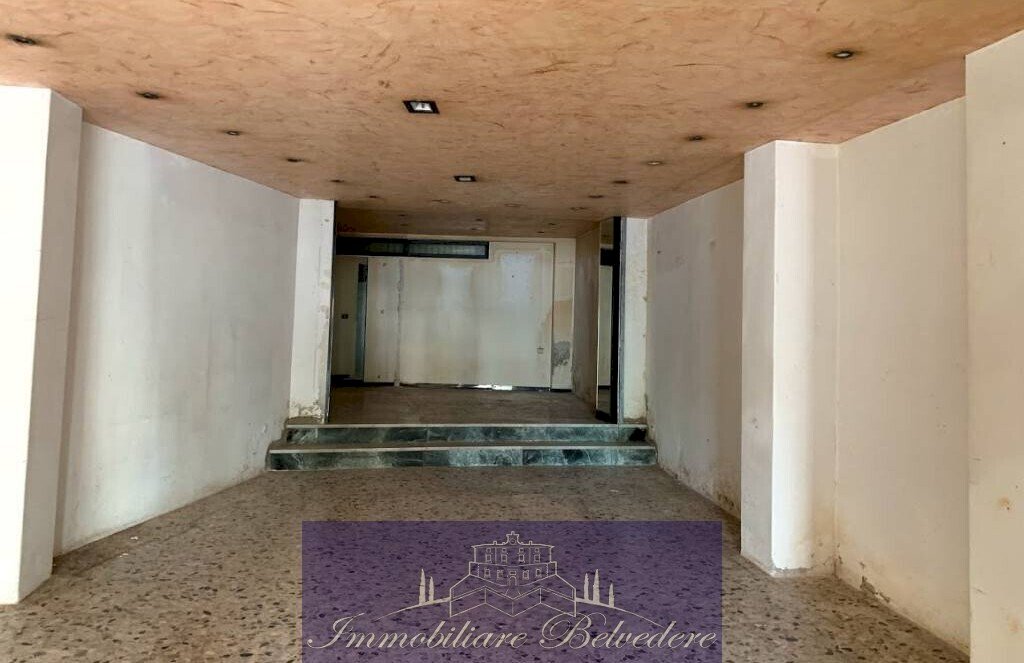 Via pisana 171r 3.jpg - Locale Commerciale Via Spinello Aretino, Firenze - foto 2