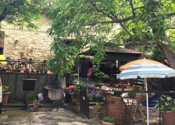 giardino - Rustico Via di Filettole, Prato - foto 3