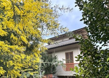 giardino - Villa Strada Vicinale la Saccia Castagneta, Vernio - foto 3