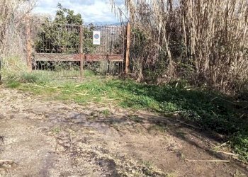 WhatsApp Image 2026-02-17 at 11.26.47.jpeg - Baita Via degli Aceri, Tivoli - photo 2