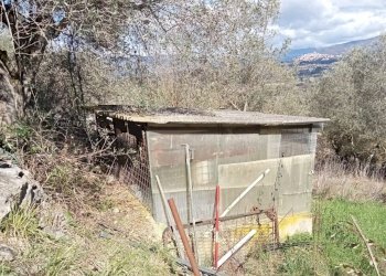 WhatsApp Image 2026-02-17 at 11.26.53.jpeg - Baita Via degli Aceri, Tivoli - photo 5