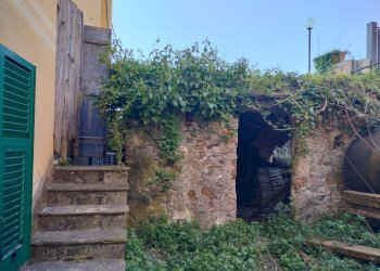 IMG20260320094616.jpg - Trilocale Via Rocca dei Corvi, Genova (zona Rivarolo) - foto 16