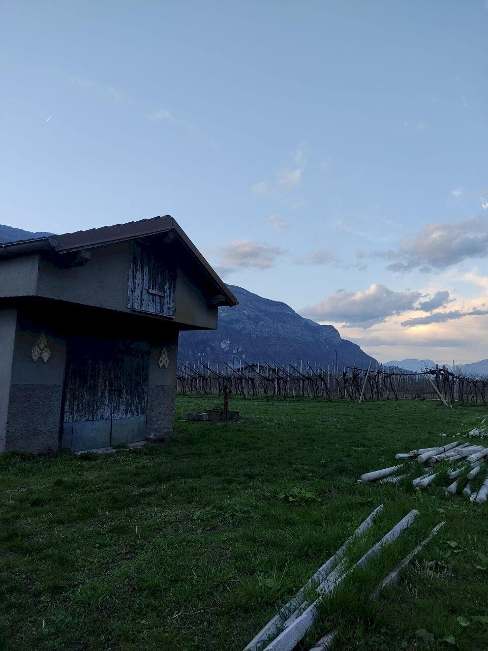 eb4a8d48-83fc-41f5-aeec-6f99d8fe2e62.jpg - Magazzino Aldeno - foto 1