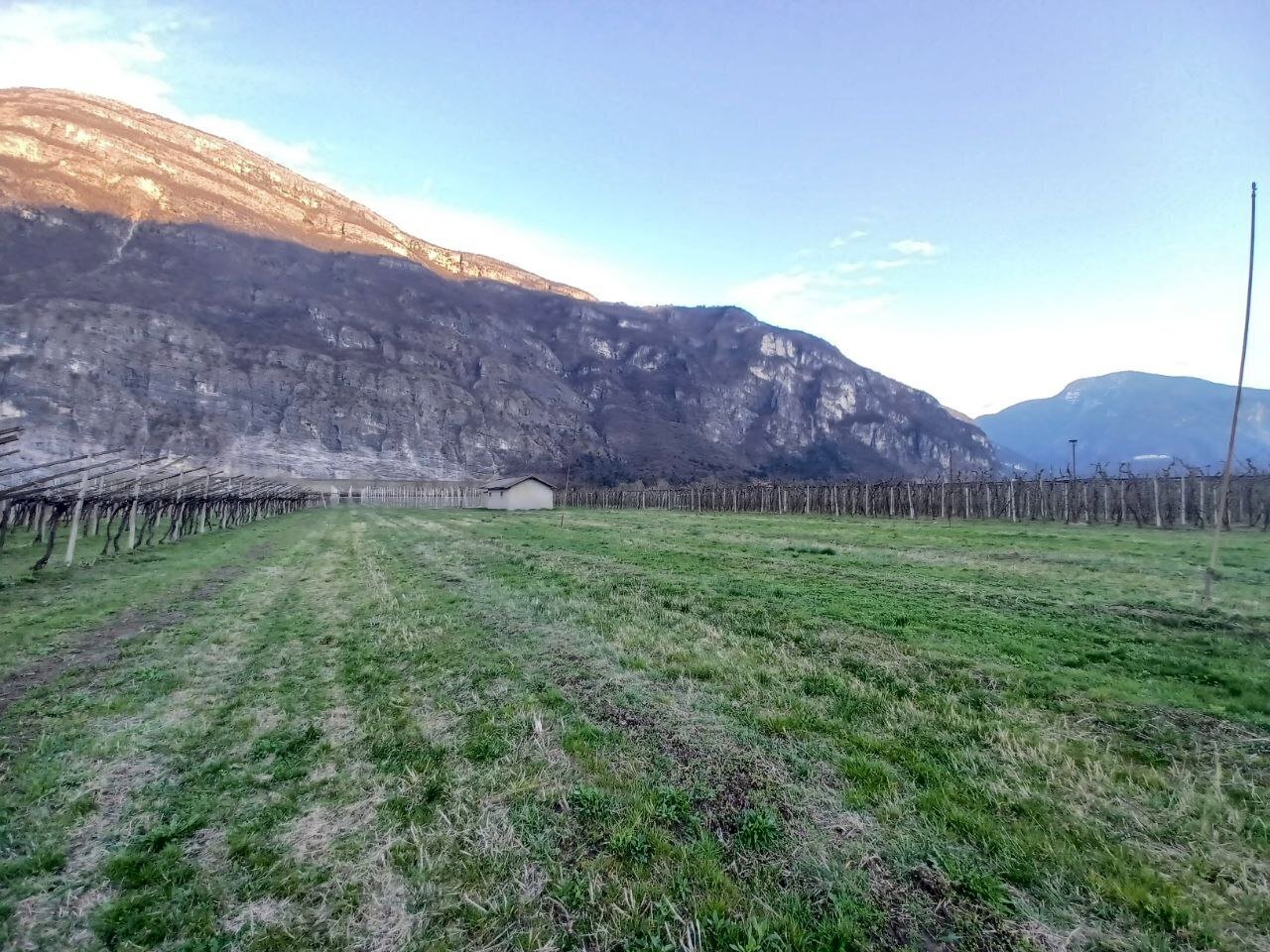 2a73897d-dc80-44f9-a24b-4ff029b2430c.jpg - Magazzino Aldeno - foto 2