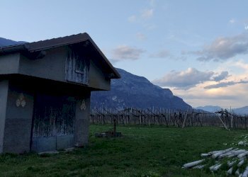 eb4a8d48-83fc-41f5-aeec-6f99d8fe2e62.jpg - Magazzino Aldeno - foto 1