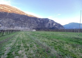 2a73897d-dc80-44f9-a24b-4ff029b2430c.jpg - Magazzino Aldeno - foto 2