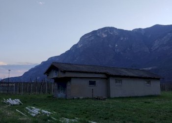 6354bb4a-04eb-47da-a938-0816e3aaf94a.jpg - Magazzino Aldeno - foto 3