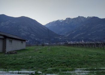 30f3f1b2-e244-4768-ae1f-b277ab0f8b8c.jpg - Magazzino Aldeno - foto 5