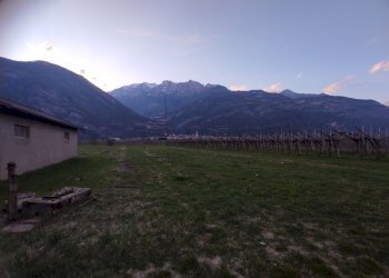 c25990cd-d87c-41ba-b5e1-7555ca1b89c6.jpg - Magazzino Aldeno - foto 6