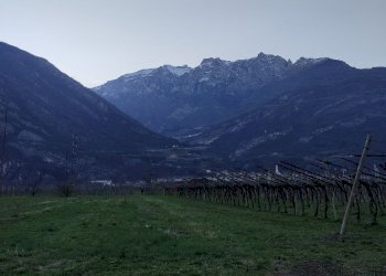 055b9c4f-e647-4dc1-b49e-3b747701ef65.jpg - Magazzino Aldeno - foto 12