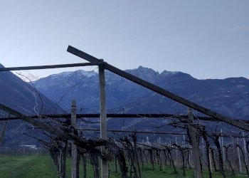 517a4bda-0fd5-4015-9fce-edc4f90bd247.jpg - Magazzino Aldeno - foto 13