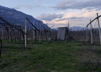 2574c8e9-0302-41e8-90a1-1aa755d25538.jpg - Magazzino Aldeno - foto 14