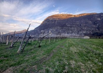 be908746-aa74-4d83-b953-008f3f8587fa.jpg - Magazzino Aldeno - foto 16